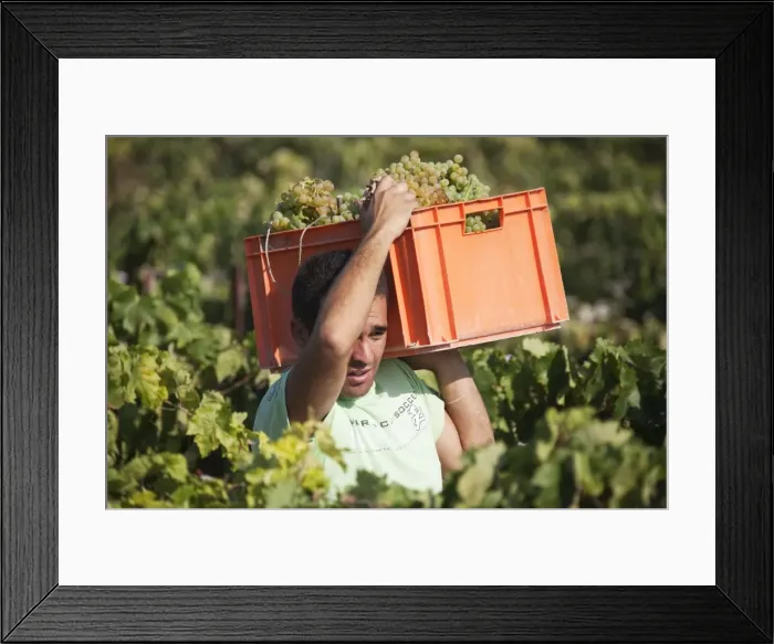 Framed Print : Picture No. 10761678 Framed Print : Picture No. 10761678