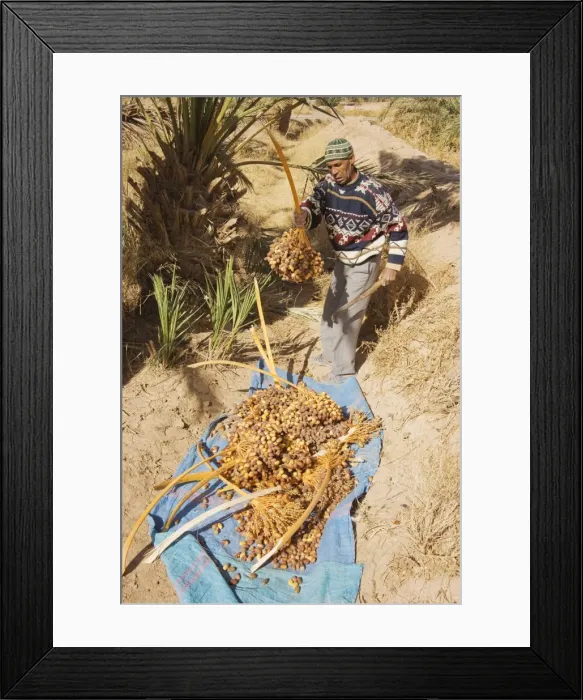 Framed Print : Picture No. 10761390 Framed Print : Picture No. 10761390