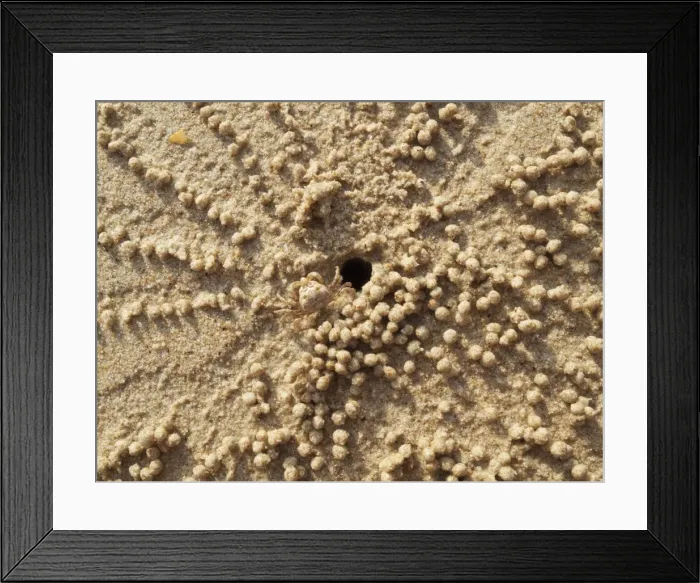 Framed Print : Picture No. 10761665 Framed Print : Picture No. 10761665