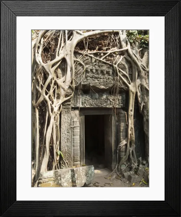 Framed Print : Picture No. 10761607 Framed Print : Picture No. 10761607