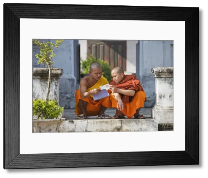 Framed Print : Picture No. 10761646 Framed Print : Picture No. 10761646