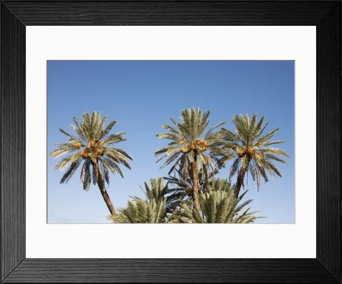 Framed Print : Picture No. 10761387 Framed Print : Picture No. 10761387