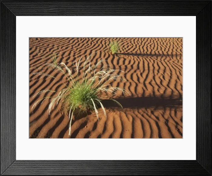 Framed Print : Picture No. 10761354 Framed Print : Picture No. 10761354