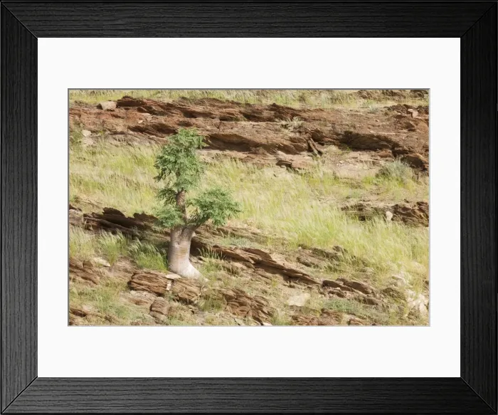 Framed Print : Picture No. 10761356