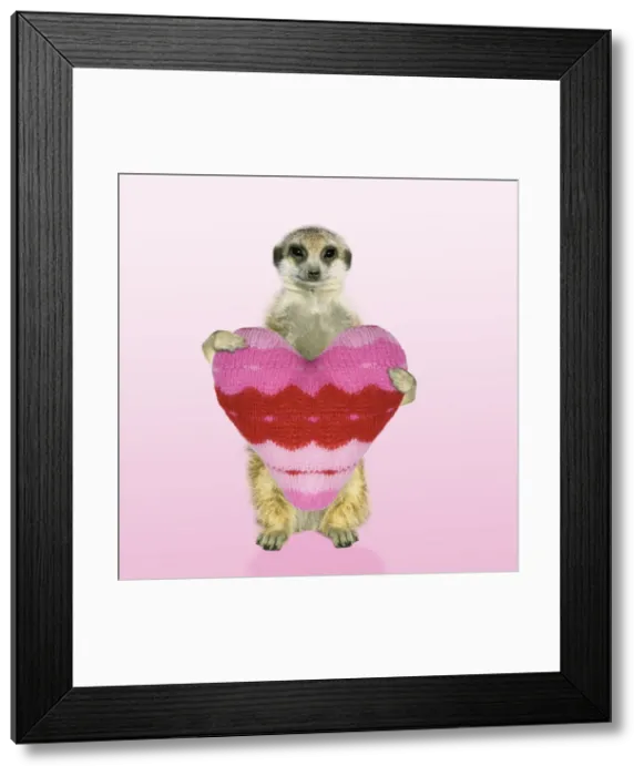 Framed Print : Picture No. 10761559 Framed Print : Picture No. 10761559