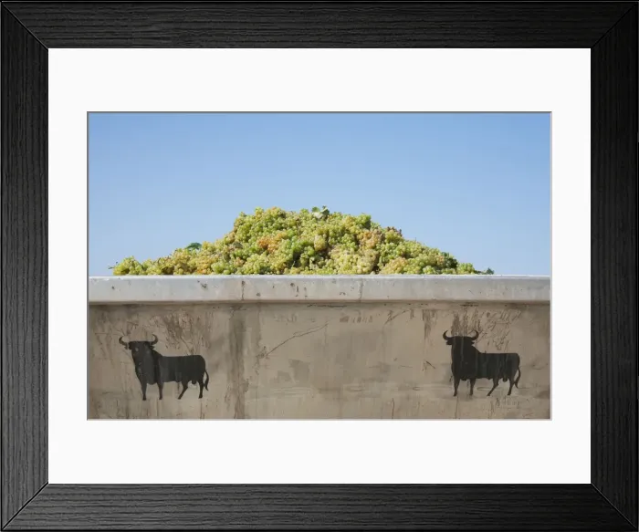 Framed Print : Picture No. 10761683 Framed Print : Picture No. 10761683