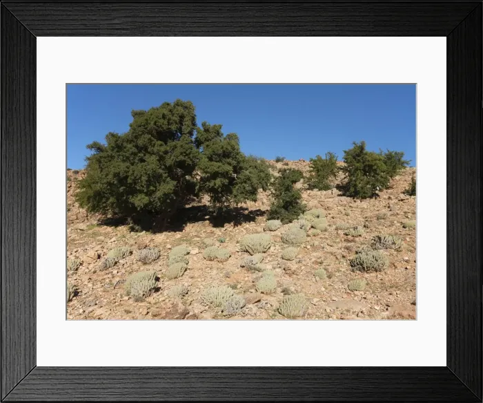 Framed Print : Picture No. 10761543 Framed Print : Picture No. 10761543