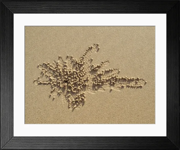Framed Print : Picture No. 10761666 Framed Print : Picture No. 10761666
