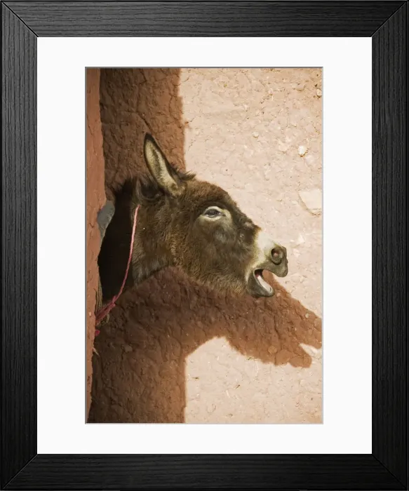 Framed Print : Picture No. 10761550 Framed Print : Picture No. 10761550