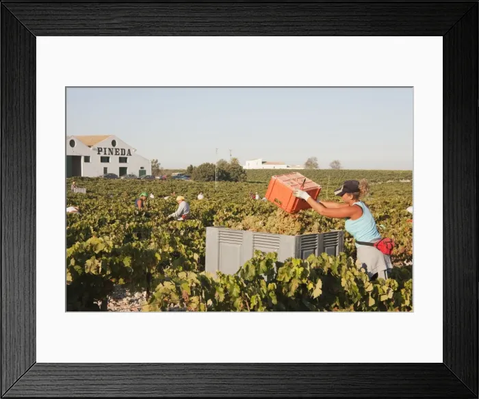 Framed Print : Picture No. 10761679 Framed Print : Picture No. 10761679