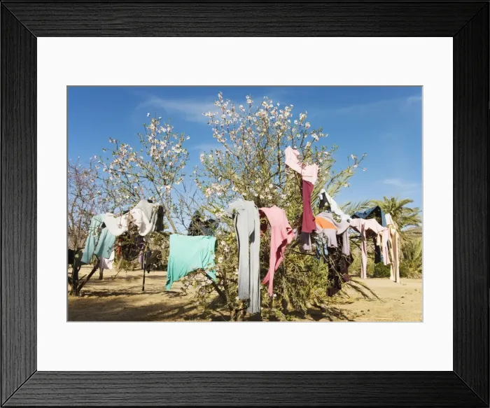 Framed Print : Picture No. 10761536 Framed Print : Picture No. 10761536