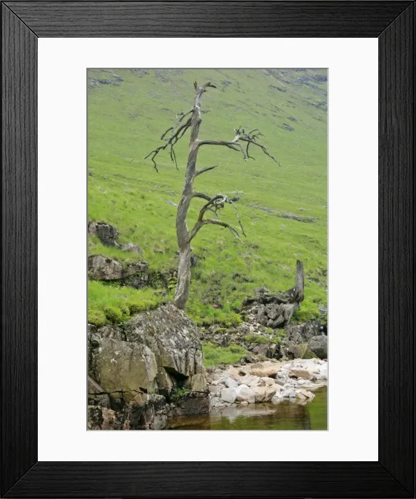 Framed Print : Picture No. 10759535 Framed Print : Picture No. 10759535