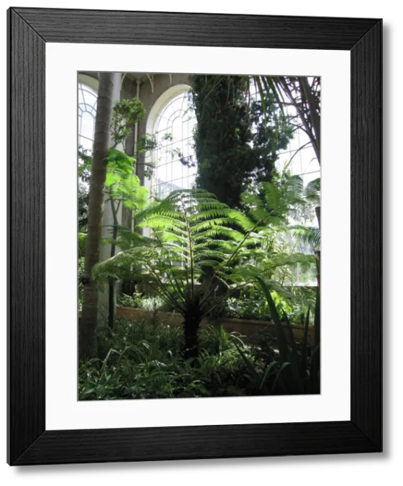 Framed Print : Picture No. 10760130 Framed Print : Picture No. 10760130