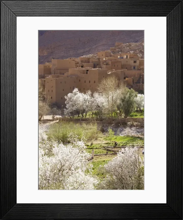 Framed Print : Picture No. 10761530 Framed Print : Picture No. 10761530