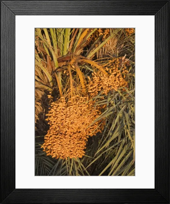 Framed Print : Picture No. 10761382 Framed Print : Picture No. 10761382
