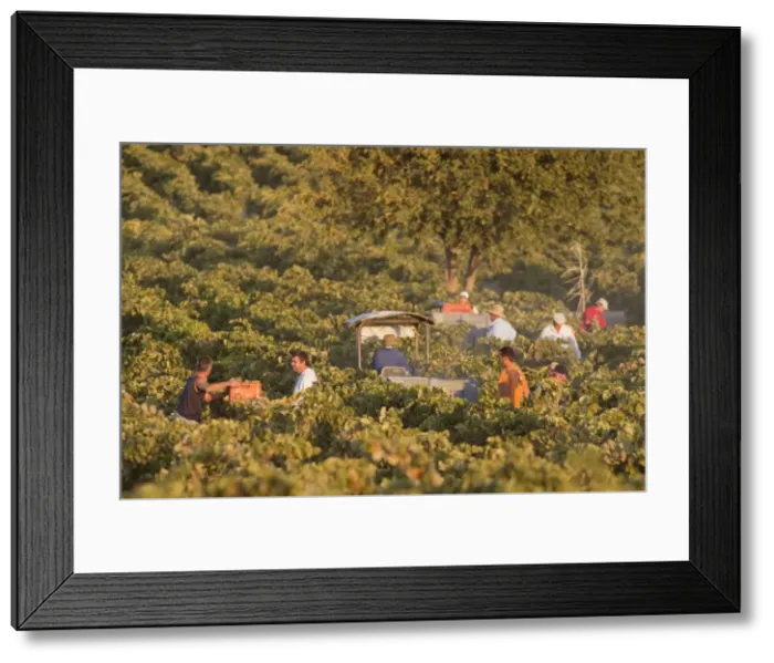Framed Print : Picture No. 10761674 Framed Print : Picture No. 10761674