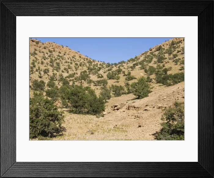 Framed Print : Picture No. 10761542 Framed Print : Picture No. 10761542