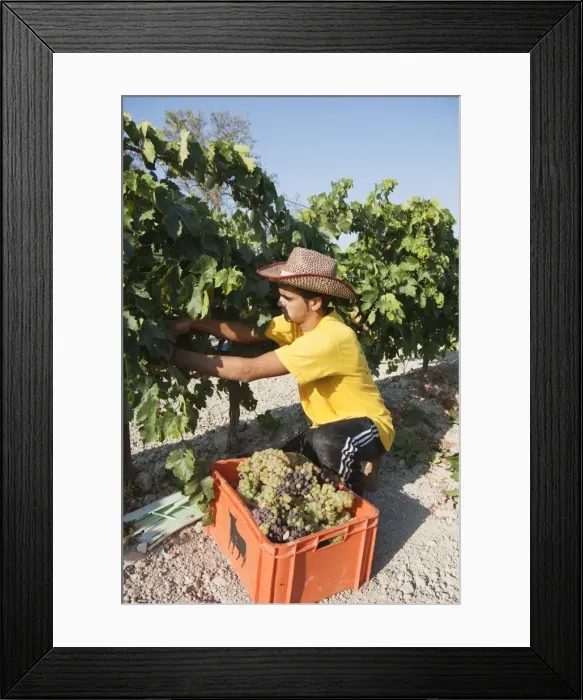 Framed Print : Picture No. 10761677 Framed Print : Picture No. 10761677