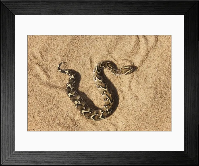 Framed Print : Picture No. 10761365 Framed Print : Picture No. 10761365