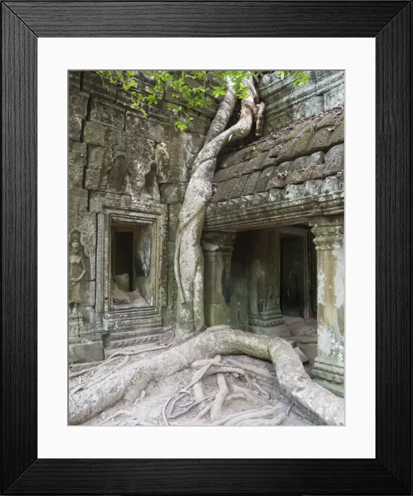 Framed Print : Picture No. 10761605 Framed Print : Picture No. 10761605