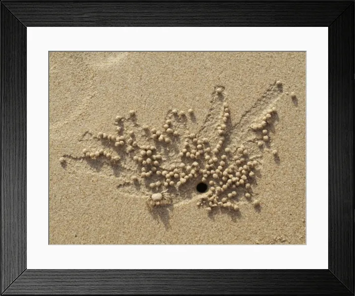 Framed Print : Picture No. 10761664 Framed Print : Picture No. 10761664