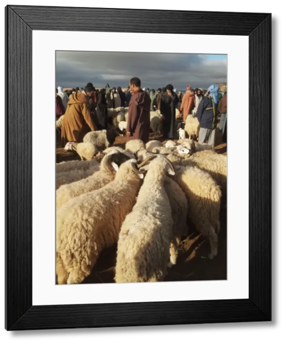 Framed Print : Picture No. 10761506 Framed Print : Picture No. 10761506