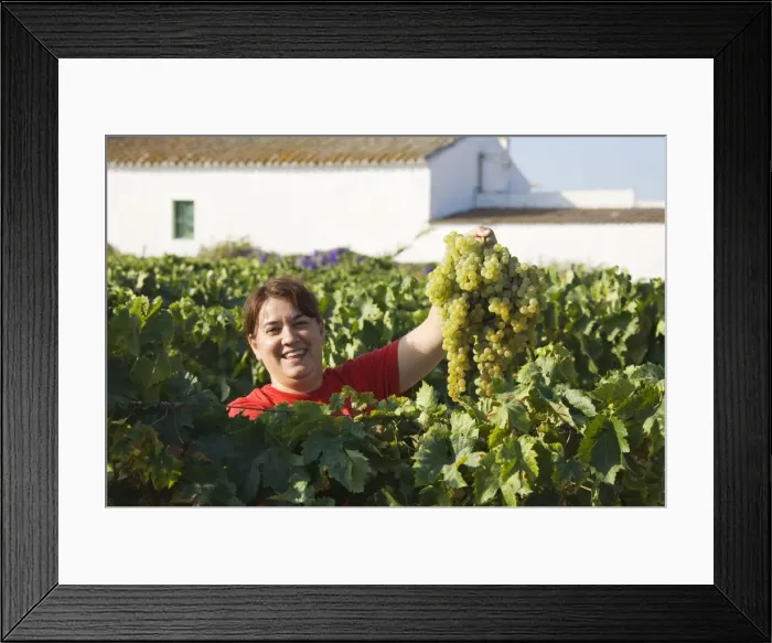 Framed Print : Picture No. 10761676 Framed Print : Picture No. 10761676