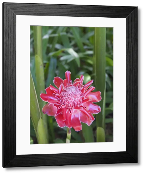 Framed Print : Picture No. 10761654 Framed Print : Picture No. 10761654