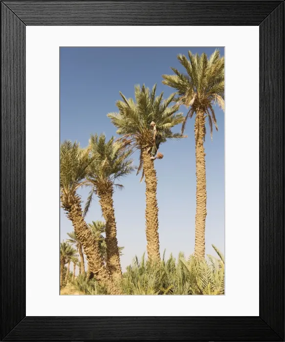 Framed Print : Picture No. 10761389 Framed Print : Picture No. 10761389