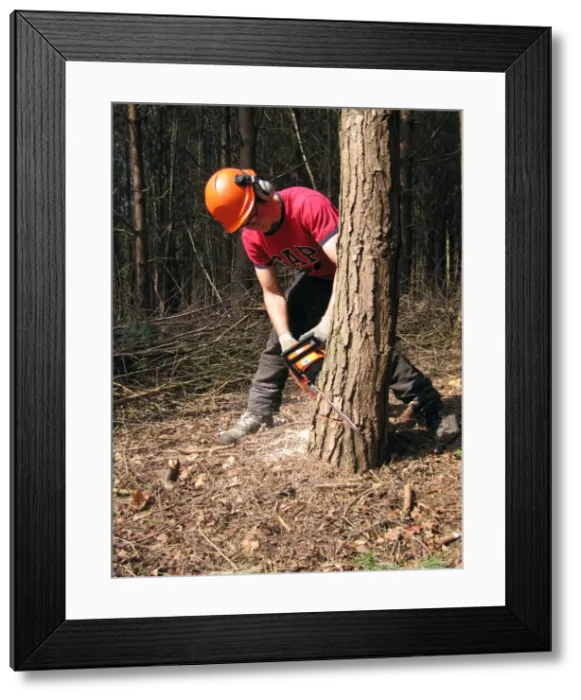 Framed Print : Picture No. 10760283 Framed Print : Picture No. 10760283