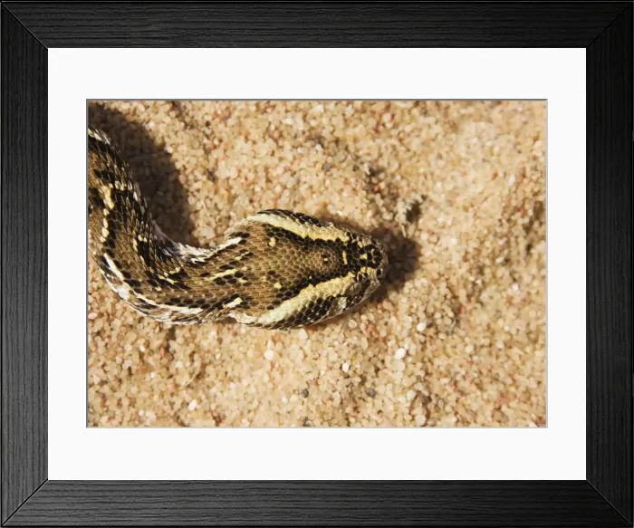 Framed Print : Picture No. 10761366 Framed Print : Picture No. 10761366