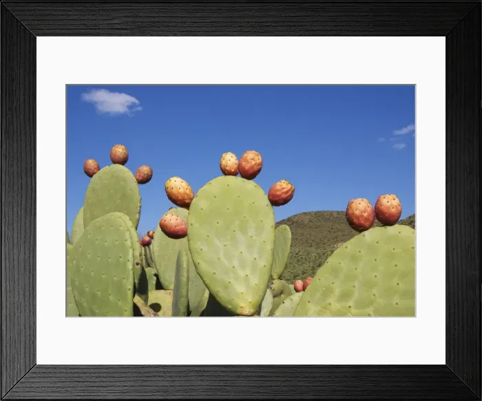 Framed Print : Picture No. 10761546 Framed Print : Picture No. 10761546