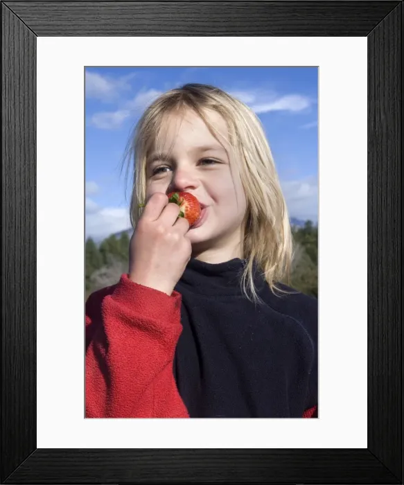 Framed Print : Picture No. 10759167 Framed Print : Picture No. 10759167
