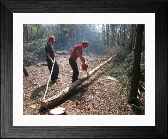 Framed Print : Picture No. 10760282 Framed Print : Picture No. 10760282