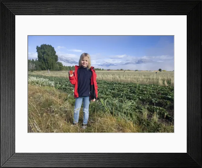 Framed Print : Picture No. 10759166 Framed Print : Picture No. 10759166
