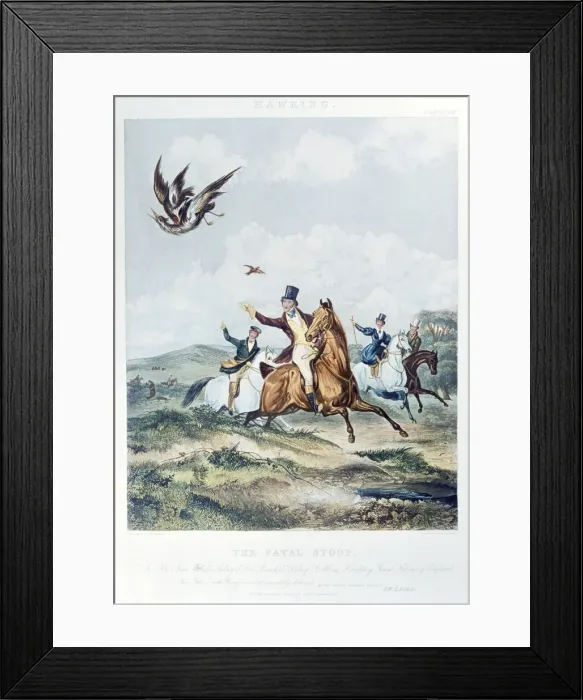 Framed Print : Picture No. 10760135 Framed Print : Picture No. 10760135