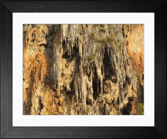 Framed Print : Picture No. 10761661