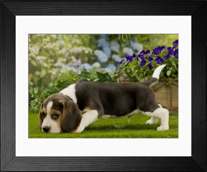 Framed Print : Picture No. 10983344 Framed Print : Picture No. 10983344