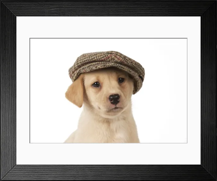 Framed Print : Picture No. 10983274 Framed Print : Picture No. 10983274
