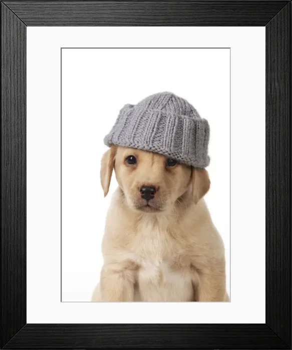 Framed Print : Picture No. 10983281 Framed Print : Picture No. 10983281