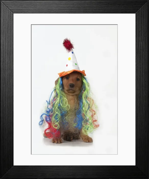 Framed Print : Picture No. 10983287 Framed Print : Picture No. 10983287