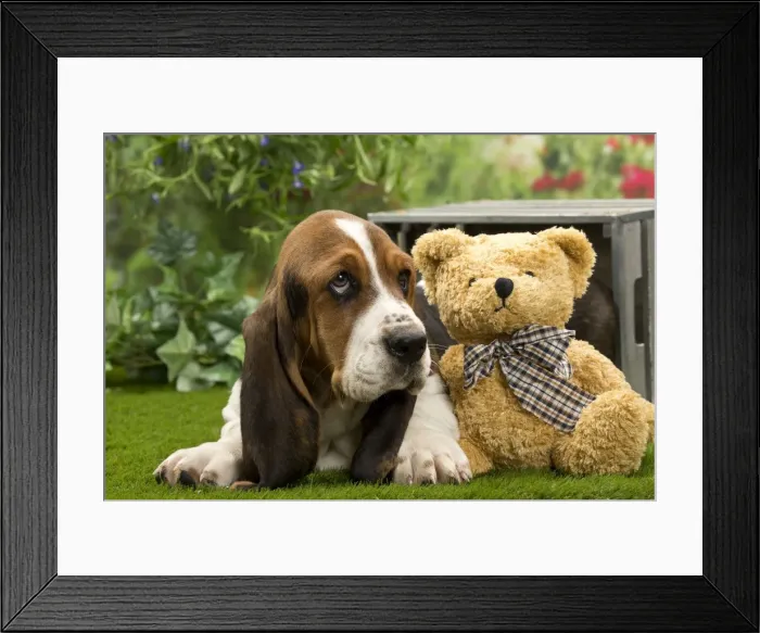 Framed Print : Picture No. 10983333 Framed Print : Picture No. 10983333