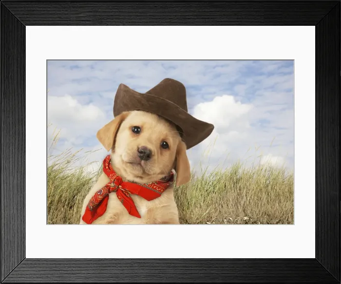 Framed Print : Picture No. 10983317 Framed Print : Picture No. 10983317