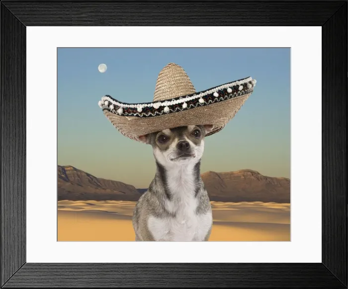 Framed Print : Picture No. 10983320 Framed Print : Picture No. 10983320