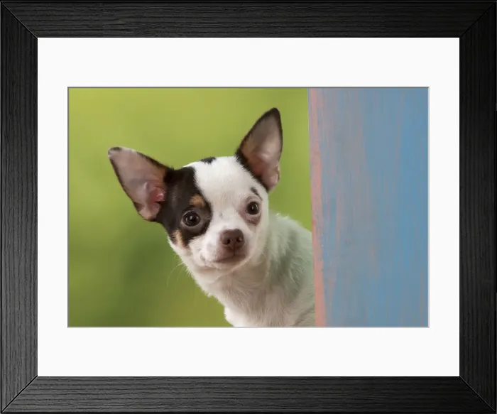 Framed Print : Picture No. 10983291 Framed Print : Picture No. 10983291