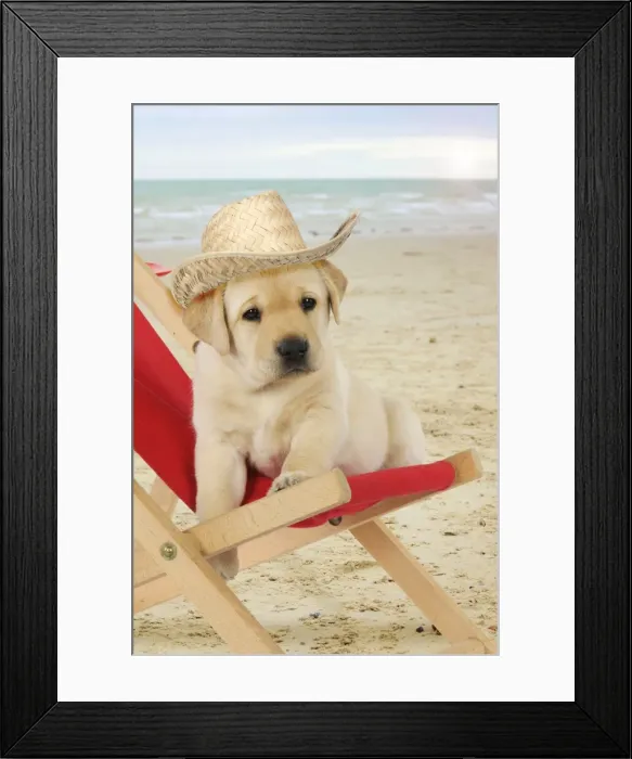 Framed Print : Picture No. 10983312 Framed Print : Picture No. 10983312