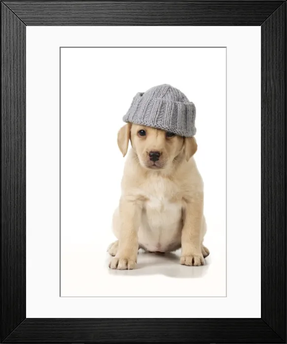 Framed Print : Picture No. 10983280 Framed Print : Picture No. 10983280