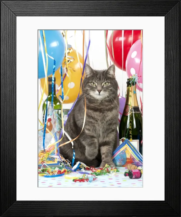 Framed Print : Picture No. 10983249 Framed Print : Picture No. 10983249