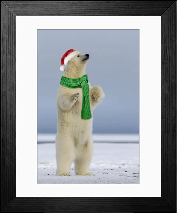 Framed Print : Picture No. 10983326 Framed Print : Picture No. 10983326