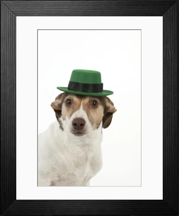 Framed Print : Picture No. 10983672 Framed Print : Picture No. 10983672